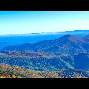 Meet your Posher, Carla